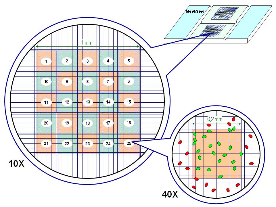 Neubauer improved cell counting chamber