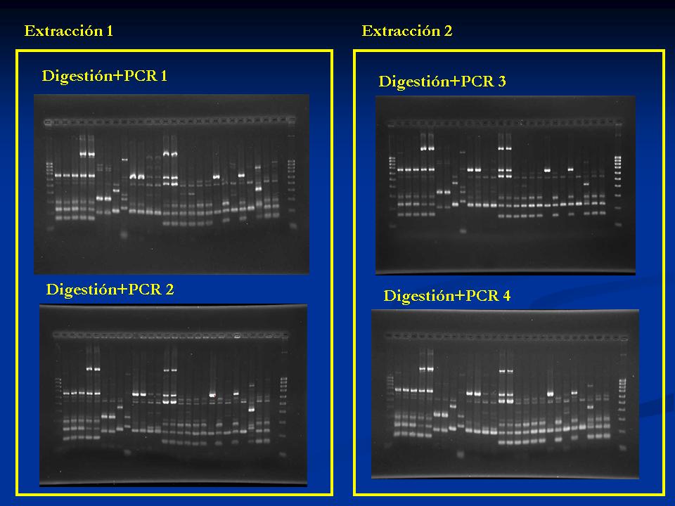 resAP-PCR
